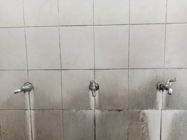 Best Fire Damage Restoration  in Westport, NC