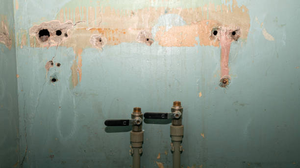 Best Flood restoration services  in Westport, NC